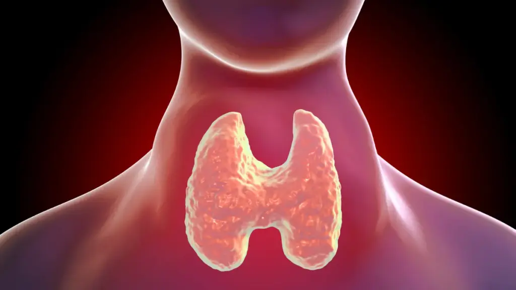 Hipertireoidismo: compreendendo e cuidando da sua saúde