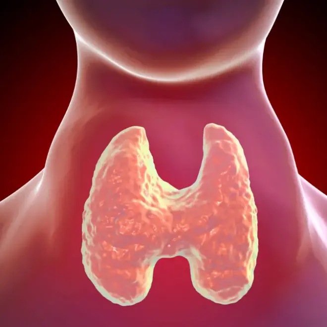 Hipertireoidismo: compreendendo e cuidando da sua saúde