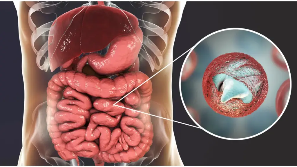 Doenças parasitárias: prevenção, tratamento e cuidados essenciais