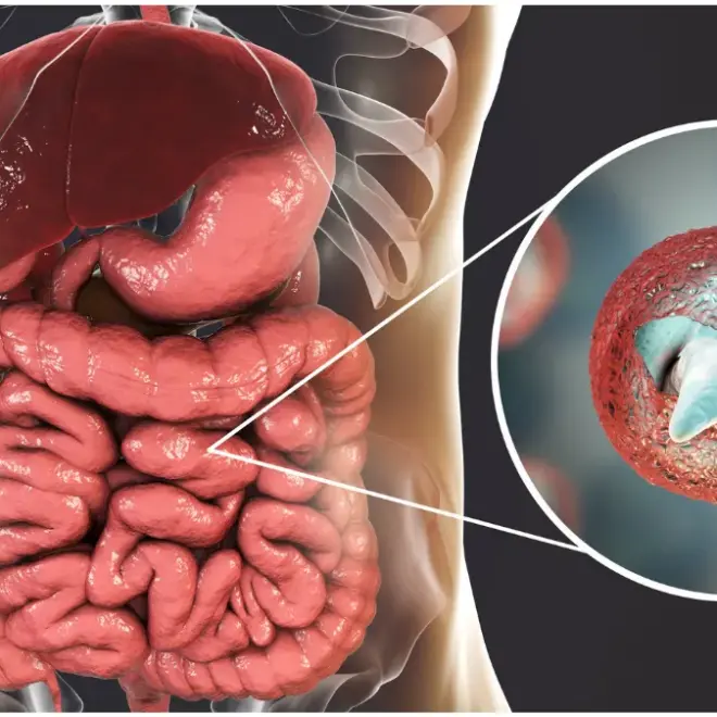 Doenças parasitárias: prevenção, tratamento e cuidados essenciais