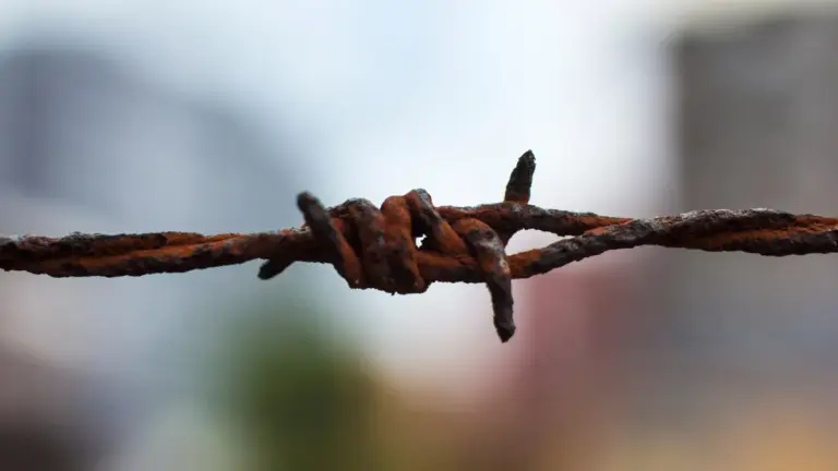 Tétano: Prevenção, Tratamento e Cuidados Essenciais