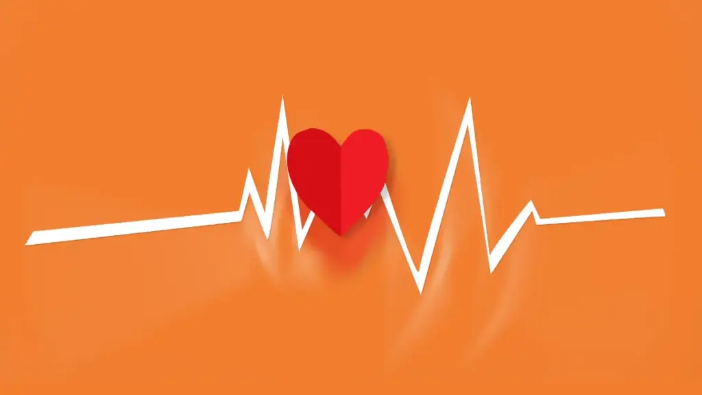 Doenças cardíacas: sintomas, prevenção e tratamento eficaz