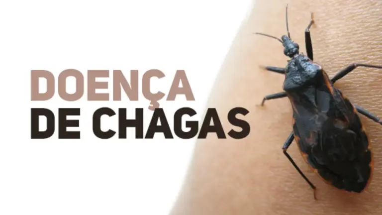 Chagas: Sintomas, Prevenção e Tratamento Eficaz
