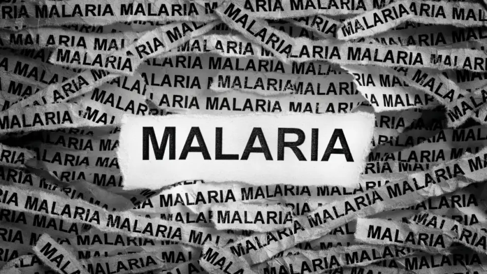 Malária: Entenda a Doença, Sintomas, Prevenção e Tratamentos