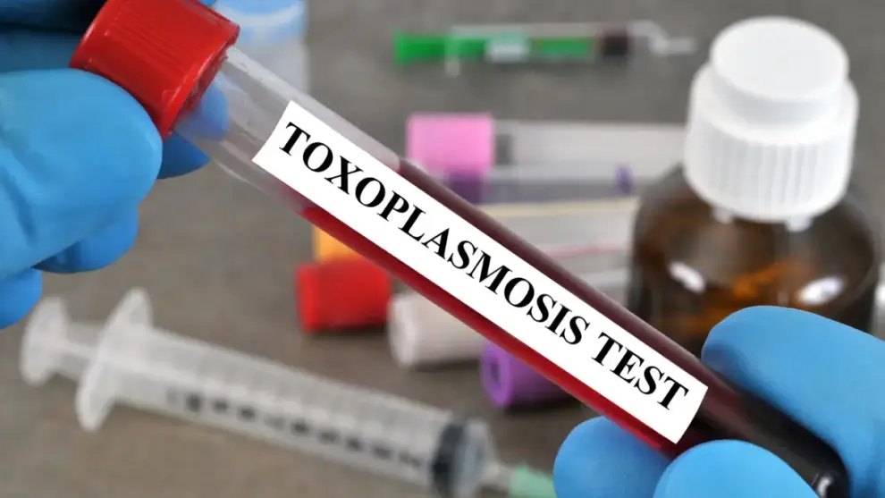 Toxoplasmose: Sintomas, Prevenção e Tratamento Eficaz